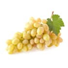 Winogrono bezpestkowe białe FRISCO FRESH 500g