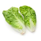 Sałata rzymska mini BIO FRISCO ORGANIC 200g