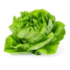 Sałata masłowa BIO FRISCO ORGANIC 200g