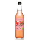 Kombucha ekologiczna truskawkowa BIO DELIKATNA 500ml