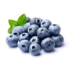 Borówka amerykańska BIO FRISCO ORGANIC 125g