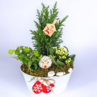 Kompozycja na Boże Narodzenie TOMASZEWSKI 1.000szt