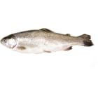 Pstrąg tęczowy patroszony ze skórą (280g 420g) FRISCO FISH 350g
