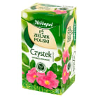 Czystek 20 torebek ex. ZIELNIK POLSKI 40g