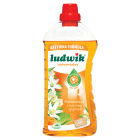 Uniwersalny płyn do mycia - Ludwik. Produkt który doceniła już niejedna pani domu.