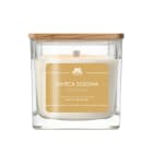 Świeca sojowa insp. SAINT LAURENT BIG NATURE 205g