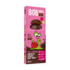 Ciasteczka owocowe Jabłko Malina w Belgijskiej ciemnej czekoladzie (bezglutenowe) BOBSNAIL 30g