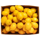 Box Owocowy Cytryny FRISCO FRESH 5.00kg