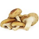 Grzyby Shitake - Frisco Organic