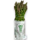 Szparagi zielone FRISCO FRESH 500g