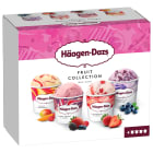 Fruit Collection Lody owocowe 4 szt. HAAGEN DAZS 380ml