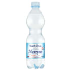 Naturalna woda mineralna wysokozmineralizowana lekko gazowana SKARB ŻYCIA MUSZYNA 500ml