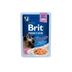 Premium By Nature Mokra karma dla wysterylizowanych dorosłych kotów z łososiem w sosie saszetka BRIT 85g