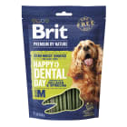 Premium By Nature Przekąska dla psa dental BRIT 180g