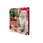 Kalendarz Adwentowy dla kota TRIXIE 182g