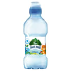 Niegazowany Woda źródlana ŻYWIEC ZDRÓJ 310ml