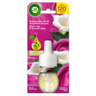 Wklad do automatycznego odświeżacza zapach Lilia & Zmysłowa Satyna? AIR WICK 19ml