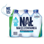 Naturalna woda mineralna niegazowana NAŁĘCZOWIANKA 1.00l