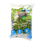 Rukola niemyta Sole Gusto 75g