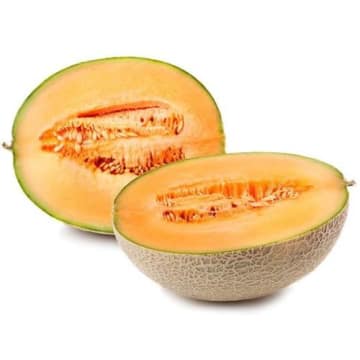 Melon Cantaloupe