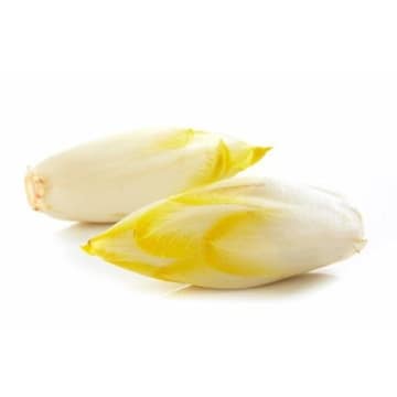 Cykoria