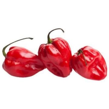 Papryka Habanero czerwona 15-17 szt.
