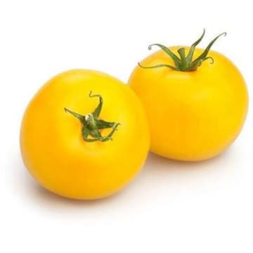 Pomidory żółte okrągłe