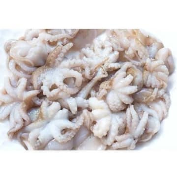 Ośmiorniczki Baby (6-8szt.) (175g-325g)