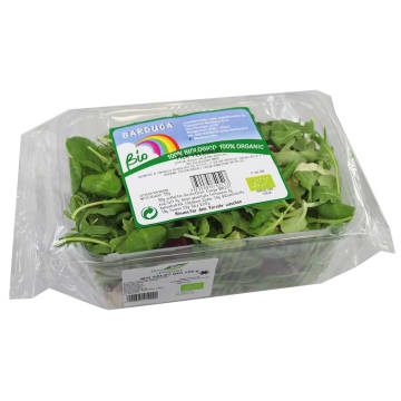 Mix świeżych sałat BIO