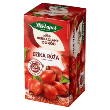 HERBACIANY OGRÓD Herbata owocowo-ziołowa Dzika Róża 20 torebek ex.