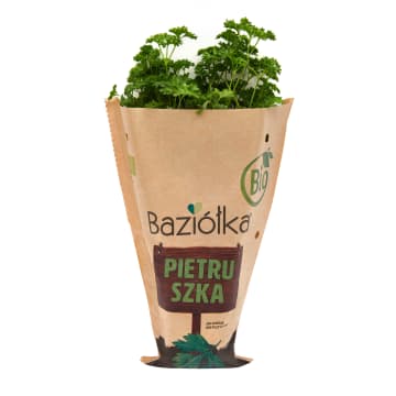 Pietruszka BIO