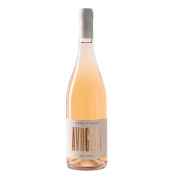 Avoglia Rose