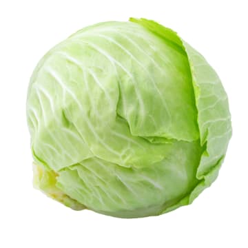 Kapusta biała BIO