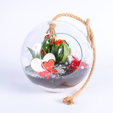 Ogród w szkle, różne warianty