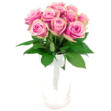 Róże Różowe 'Belle Rose' bukiet kwiatów x 10