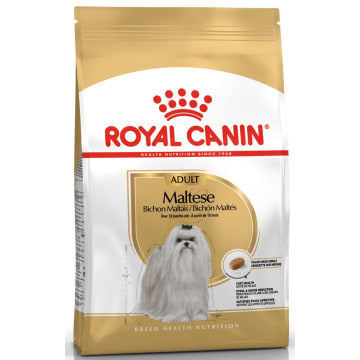 ROYAL CANIN Adult Maltese Suchy pokarm dla dorosłych psów rasy Maltańczyk