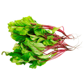 Botwinka krajowa - pęczek