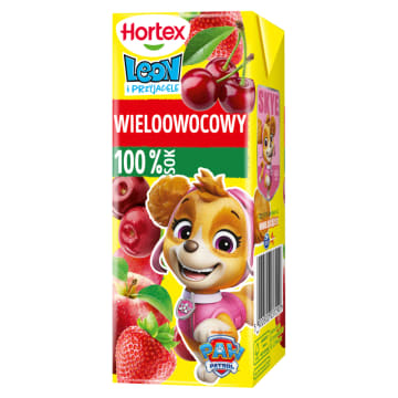 LEON Sok 100% wieloowocowy