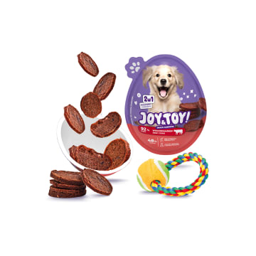 JOY&TOY! Jajko z niespodzianką dla PSA