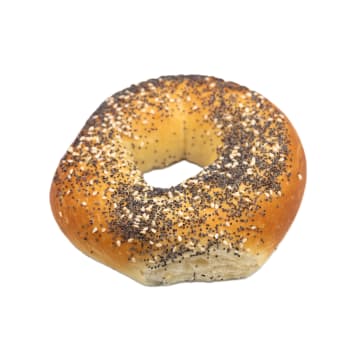 Bajgiel