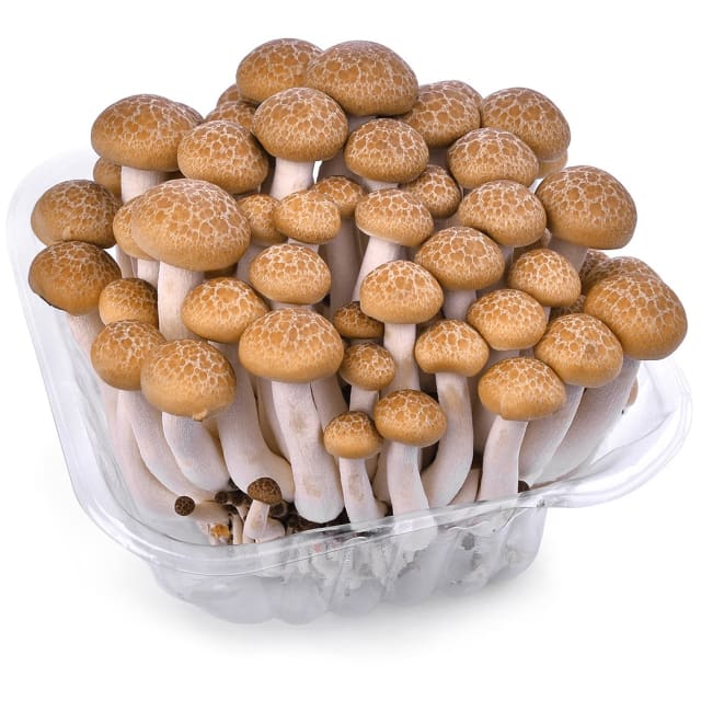Frisco Fresh Grzyby Shimeji 150 G Frisco Pl