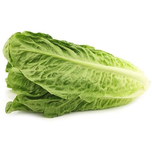 FRISCO FRESH Sałata rzymska
