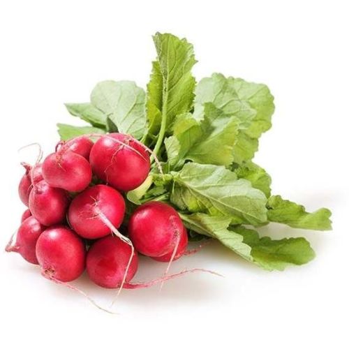 FRISCO FRESH Rzodkiewka pęczek