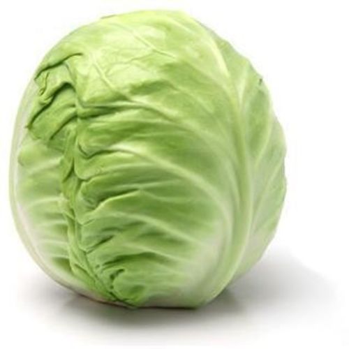 FRISCO FRESH Kapusta biała