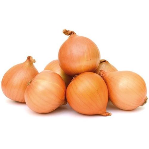 FRISCO ORGANIC Cebula BIO