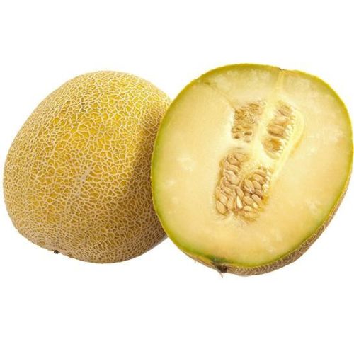 FRISCO FRESH Melon Galia