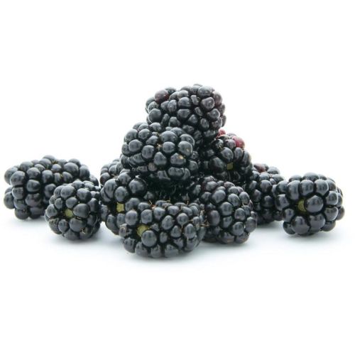FRISCO FRESH Jeżyny