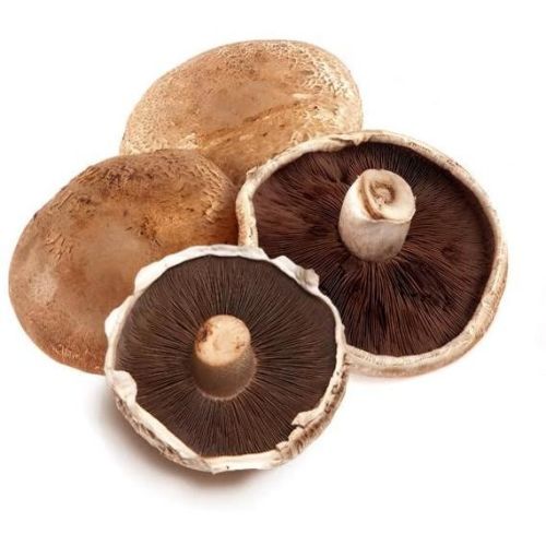 FRISCO FRESH Pieczarki Portobello 4szt.
