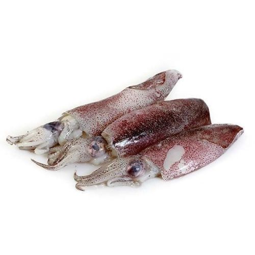 FRISCO FISH Kalmary Baby (5-6szt.) (175g-325g)