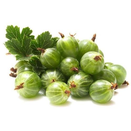 FRISCO ORGANIC Agrest ekologiczny BIO